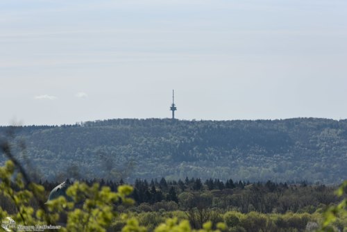 Fernsehturm Hornisgrinde