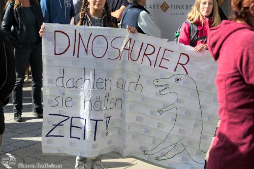 2019 09 fridays for future pforzheim 007