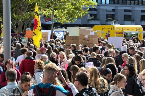 2019 09 fridays for future pforzheim 014